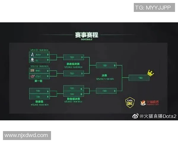 热议DOTA2RNG战术变革背后的深层原因与未来发展趋势分析 热议DOTA2RNG战术变革背后的深层原因与未来发展趋势分析