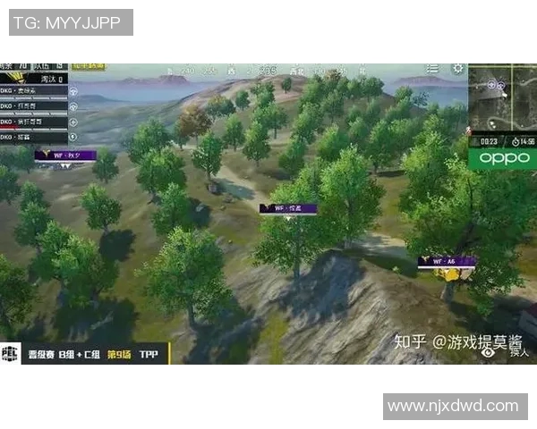 和平精英状态排名TES创新高展现团队实力与战术配合的完美结合实时数据 和平精英状态排名TES创新高展现团队实力与战术配合的完美结合实时数据